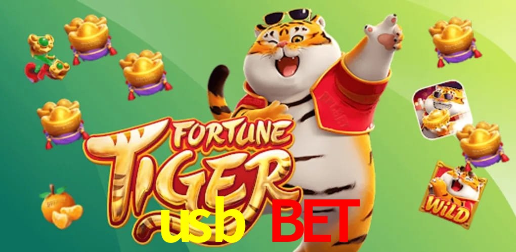Experiência VIP usb bet